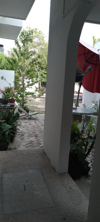 Departamentos De La Reina Roja Appartement Palenque Buitenkant foto