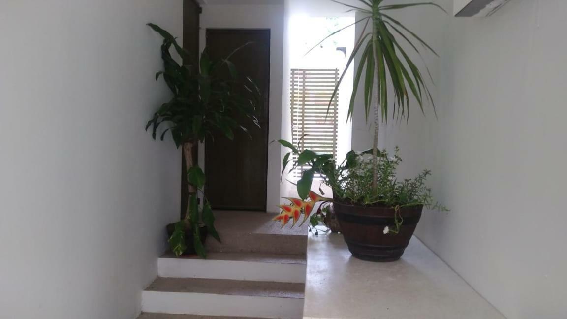 Departamentos De La Reina Roja Appartement Palenque Buitenkant foto